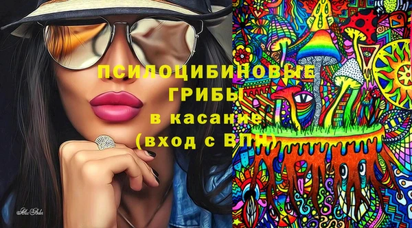 ECSTASY Богородск