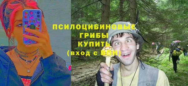 мяу мяу мука Богданович