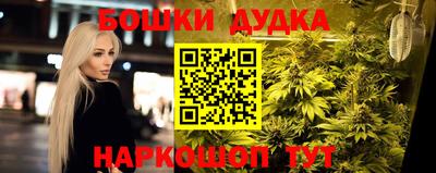 твердый Будённовск