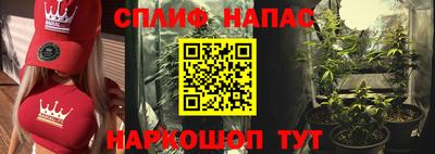 индика Абинск