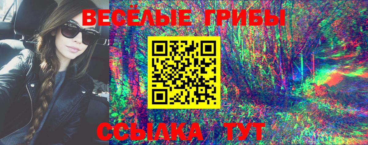 Галлюциногенные грибы Psilocybine cubensis Гулькевичи