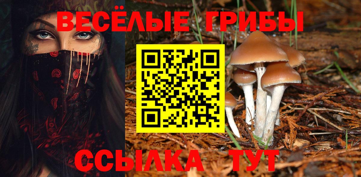 Псилоцибиновые грибы мухоморы  Гулькевичи  Галлюциногенные грибы ЛСД 