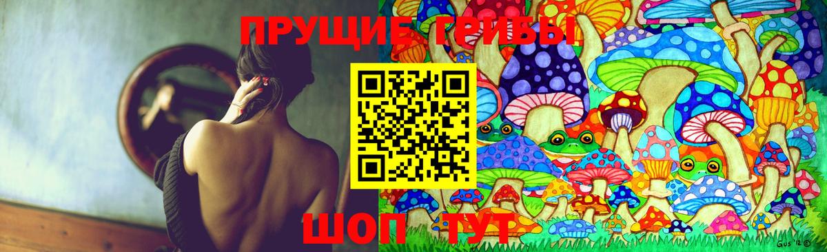 Галлюциногенные грибы Psilocybe Гулькевичи
