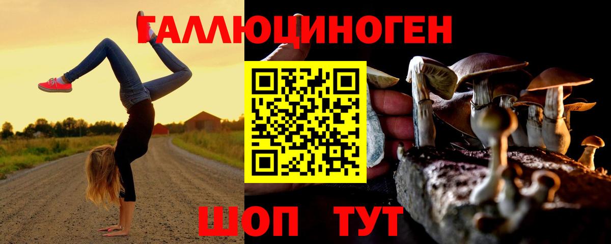 Псилоцибиновые грибы мицелий  Галлюциногенные грибы ЛСД  Гулькевичи  наркошоп  Вход с VPN 