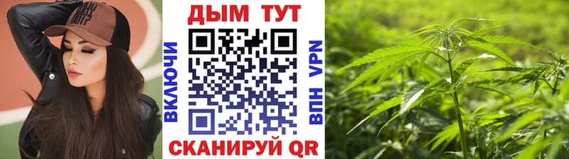 Каннабис SATIVA & INDICA  Гулькевичи 